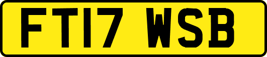 FT17WSB