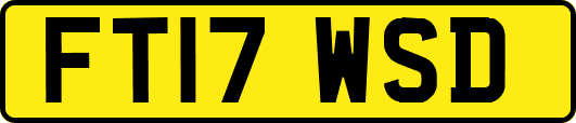 FT17WSD
