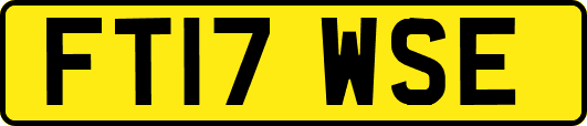 FT17WSE