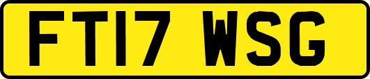 FT17WSG