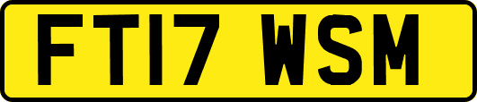 FT17WSM