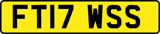 FT17WSS