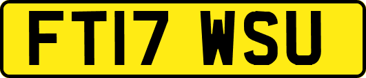 FT17WSU