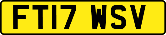 FT17WSV