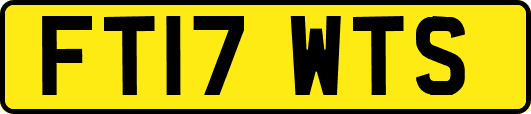 FT17WTS