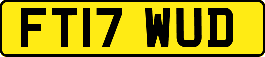 FT17WUD