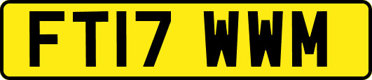 FT17WWM