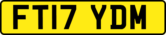 FT17YDM