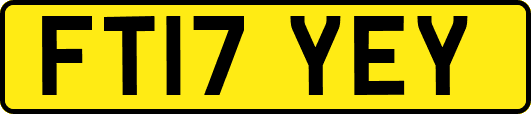 FT17YEY