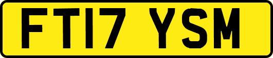 FT17YSM