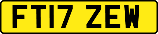 FT17ZEW