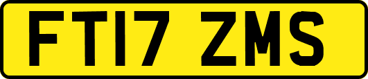 FT17ZMS