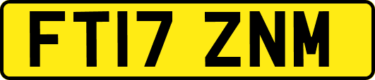 FT17ZNM