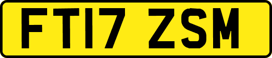 FT17ZSM