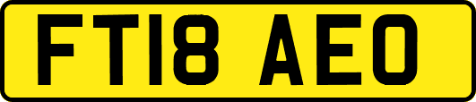FT18AEO