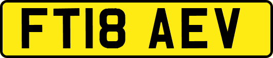 FT18AEV