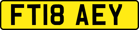 FT18AEY