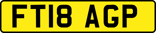 FT18AGP