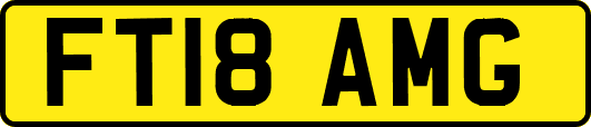 FT18AMG
