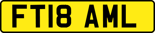 FT18AML