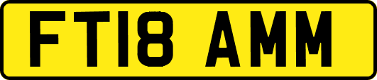 FT18AMM