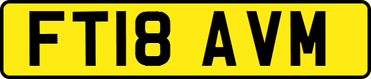 FT18AVM