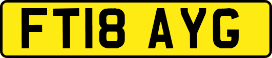 FT18AYG