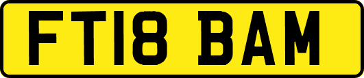 FT18BAM