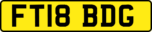 FT18BDG