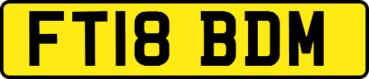 FT18BDM