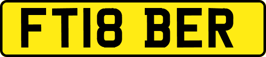 FT18BER