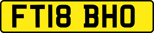 FT18BHO