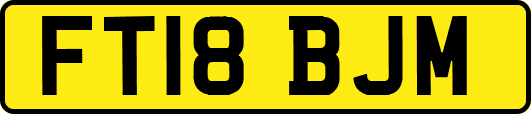 FT18BJM