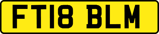 FT18BLM