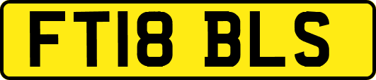 FT18BLS