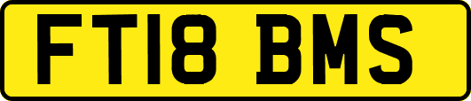 FT18BMS