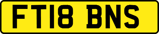 FT18BNS