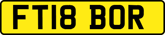 FT18BOR