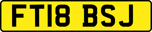 FT18BSJ