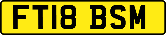 FT18BSM
