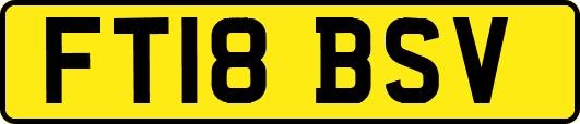 FT18BSV