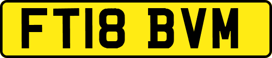FT18BVM