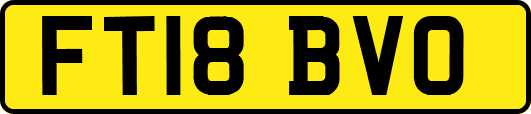 FT18BVO