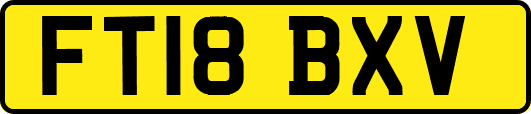 FT18BXV