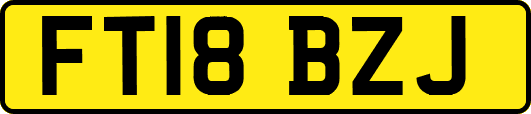 FT18BZJ