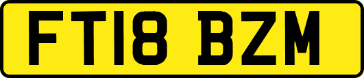 FT18BZM