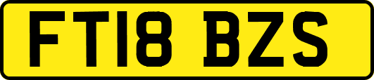 FT18BZS