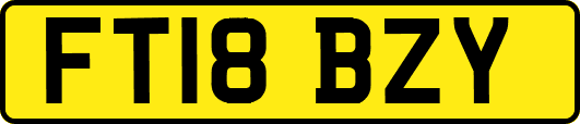 FT18BZY