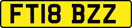 FT18BZZ