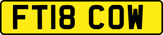 FT18COW